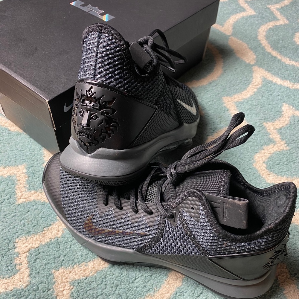 Lebron Witness IV